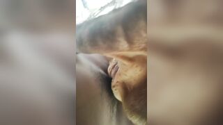 Lâu lắm mới làm lại