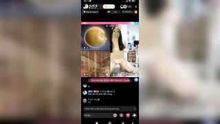 My mèo trả kèo kéo nhị