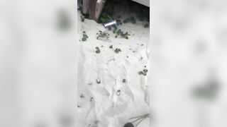 Đánh ghen xé quần áo lộ hàng vú to