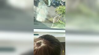 chị dâu gạ em trai đi nhà nghỉ lại còn bú cu cạnh cửa sổ cho người thấy nữa chứ