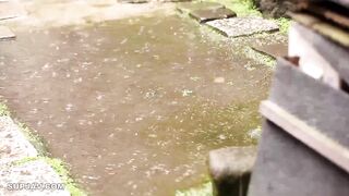 Con Trai Đã Yêu Bà Ngoại Và Mẹ Kế