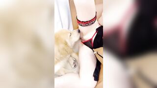 Cho chó liếm lồn gái xinh