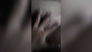 Ss2 dogy với chj họ p6