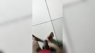 Thú cưng 22