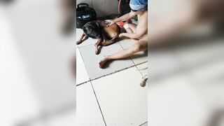 Thú cưng 22