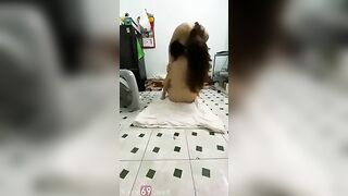 Súc vật, Thg chú Cởi Chuồng vào Phòng Cháu Gái bắt Sục Cu some djt nhau còn quay Vide
