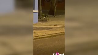 Nửa Đêm Public Gạ Bé Người Yêu Ra Cồng Viên Some Bú Cu djt Nhau xuất tinh vào lồn rên