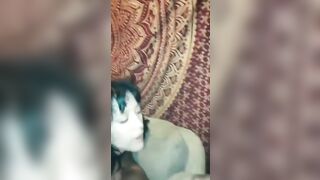 Gái dâm chubby vú to lồn ngon địt nhau bắn tinh vào mồm bú sạch tinh dâm đãng