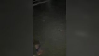 Trâu bò húc nhau