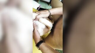 Chai vịt chịt chó