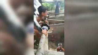 Nuôi heo