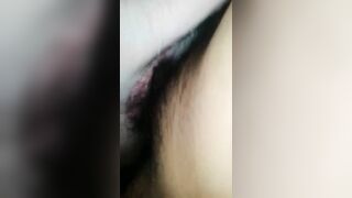 Chịt em heo trong đêm