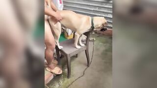 Xít em lại và chịt
