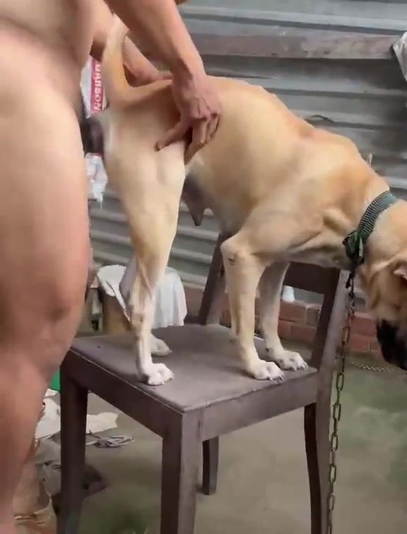 Xít em lại và chịt