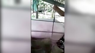 Thiếu niên và heo nái 2 tạ
