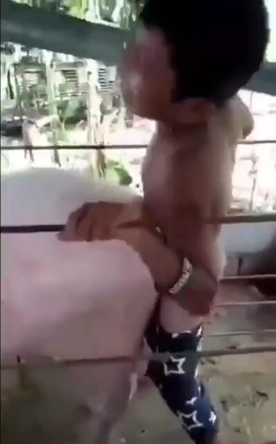 Thiếu niên và heo nái 2 tạ