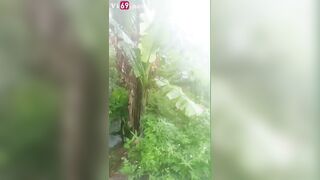 Clip Sex Chịch public em giữa đường mặc trời mưa bão