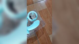 Trứng rung điều khiển từ xa
