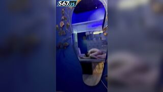 xem phim phòng với em học sinh em lại bú cu cho anh tại chỗ làm anh nứng quá - phần 2