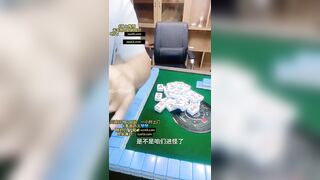 Chơi thua cởi quần áo bị địt cho tê lồn vú to lồn ngon rên la dâm đãng bắn tinh đầyồn