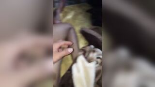 Dogyy