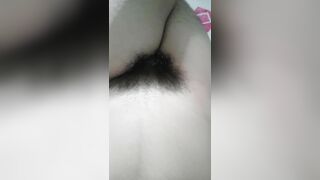 Bướm non hóa đại bàng