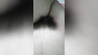 Bướm non hóa đại bàng