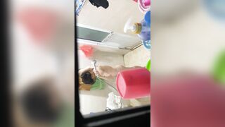 Phải nói là đẵng cấp và liều lĩnh gia chủ có 4 đứa con gái lần lượt bị quay lén