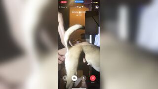 Mình muốn vào nhóm *** trên Telegram