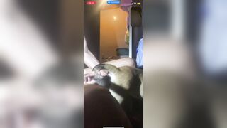 Mình muốn vào nhóm *** trên Telegram