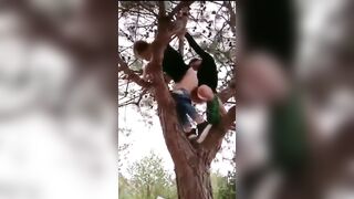 Chỉ có thể Là Genz, Djt Nhau Ở Trên Cây Public Đái Xuống đường bị phát hiện