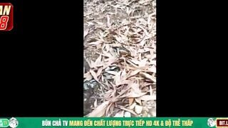 Cụ ông 80 tuổi dẫn Cháu dâu lên Rừng đit ko bao Xuất Tinh đầy lồn bị phát hiện