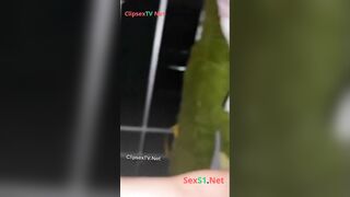 Teen HS Như Quỳnh 2ka7, Lần Đầu bú cu Quay video Bị Xuất Tinh vào mắt rên rỉ khóc