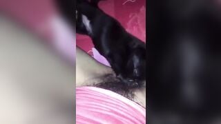 Em gái mới lớn ở nhà một mình nứng lồn quá bắt chó lại cho liếm lồn cho bớt ngứa lồn