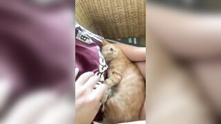 Em gái của năm