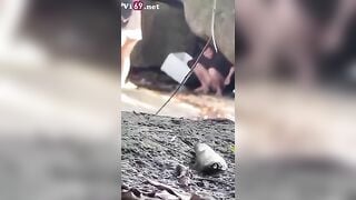 Vl cặp đôi lên núi địt nhau tìm cảm giác mới lạ
