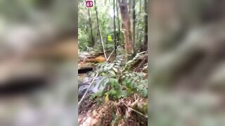 EM VK TÔI BỊ THẰNG GIÀ U 55 ĐƯA VÀO RỪNG ĐỊT RỒI GỬI CLIP CHO GIA ĐÌNH