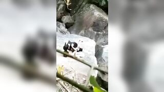 Bắt gặp đôi bạn trẻ địt nhau trong rừng