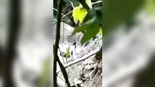 Bắt gặp đôi bạn trẻ địt nhau trong rừng