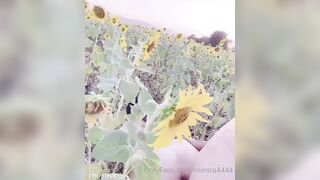 Public MỹHạnh giữa cánh đồng hướng dương