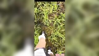 Pong Kyubi Hoá Trang Học Sinh Bị Long Mộng Gà djt Nát Lồn Thủ dâm p1