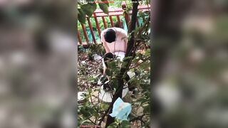 quay lén 2 em học sinh nđang dogy trong bụi