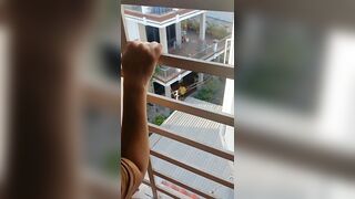 a hàng xóm zị mà k dòm lên!