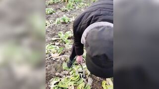 Gái dâm hàng ngon gạ địt ông chú hàng xóm đang làm ruộng