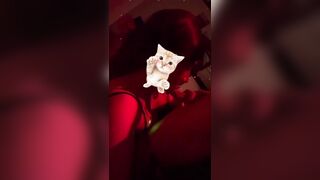 Được ladyboy miseo bú cu cho cực sướng