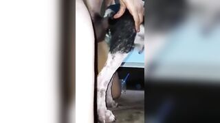 Chó già chiều anh cặt khủng
