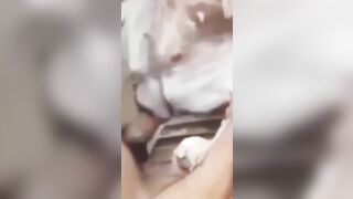 Em rên lên vì sung sướng