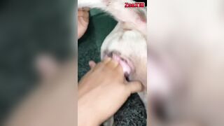 Vừa móc vứa some