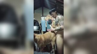 Nắc em chó già phê lút cán