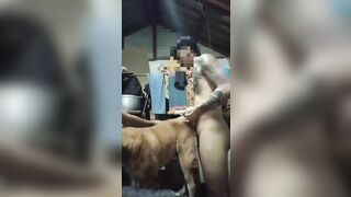 Nắc em chó già phê lút cán